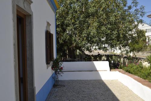 a building with a white wall and a tree at Quinta dos Tesouros in São Brás de Alportel