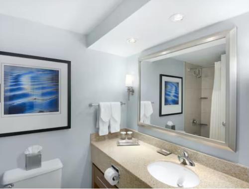 Ένα μπάνιο στο Hilton Long Island/Huntington
