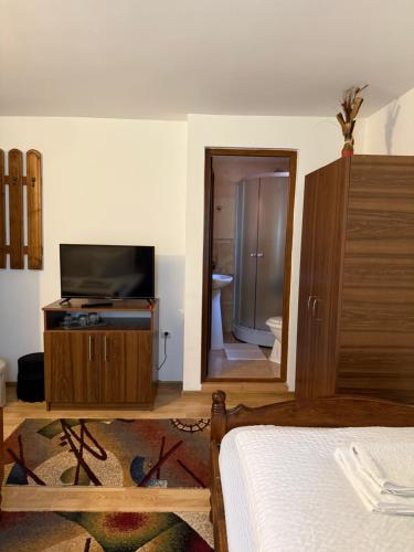 a bedroom with a bed and a television and a bathroom at Pensiunea Delia in Izlaz