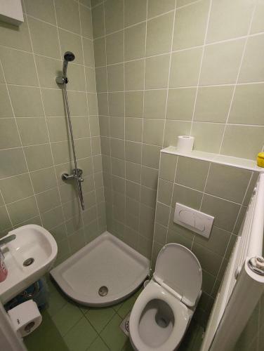a small bathroom with a toilet and a sink at Prenočišča Center Mir In Dobro in Solkan