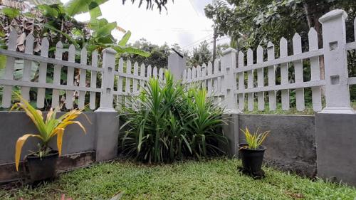 a white fence with plants in a yard at Le Meridien BnB in Negombo
