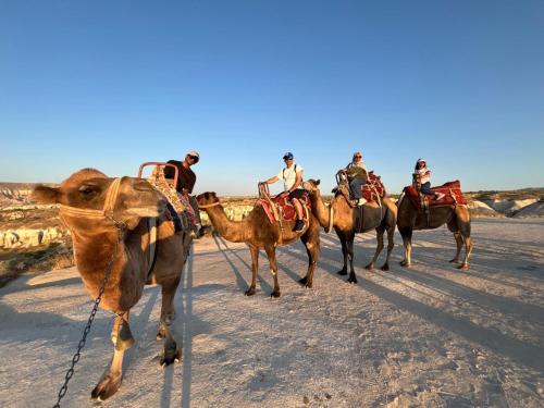 a group of people riding on camels in the desert at Cherrykonak cappadocia in Uchisar