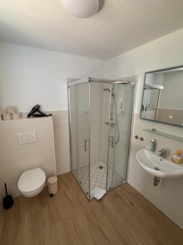 a bathroom with a shower and a toilet and a sink at Ferienwohnung Rømø in Bredstedt