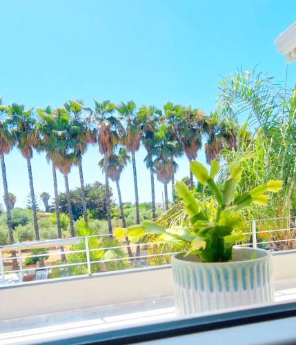 サンタ・マリア・デル・フォカッロにあるVilla LORY SWEET ORCHIDEAの窓辺の植物と背景にヤシの木