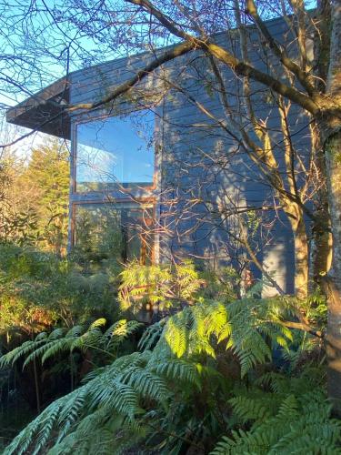 a garden with plants in front of a building at Lofts Magnolias in Puerto Varas