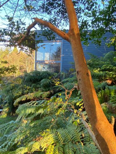 a garden with plants and a building in the background at Lofts Magnolias in Puerto Varas