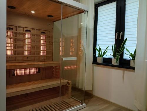 una doccia in vetro in un bagno con piante in vaso di Balasana - dom na wyłączność a Szklarska Poręba
