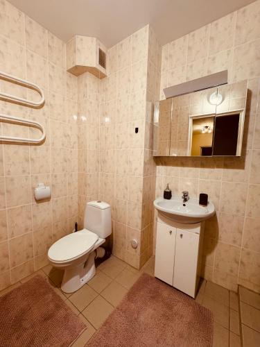 ein Badezimmer mit Toilette und Waschbecken in der Unterkunft Munamäe tänav 16-5 in Otepää