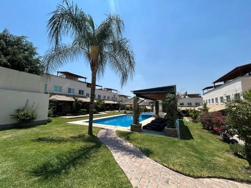 a palm tree and a swimming pool in a yard at Tulipanes Pool AC WiFi in Cedro