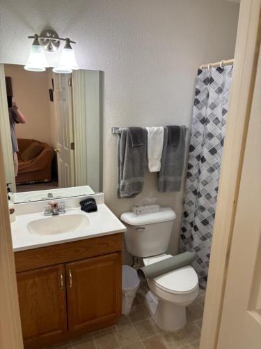 a bathroom with a toilet and a sink and a mirror at Hermann Crown Suites in Hermann