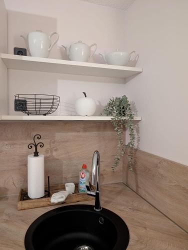 a bathroom with a sink and a shelf with dishes at Ferienwohnung Landruhe in Katharinenberg