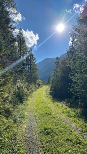 a dirt road in the middle of a field with trees at Alpenfels Zwieselstein in Sölden