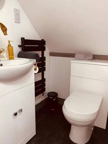 a bathroom with a white toilet and a sink at Castle Queen in Coseley