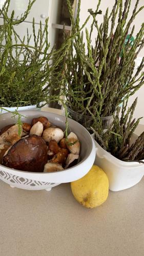 a bowl of mushrooms and plants on a table at Villa Marina B&B in Cleto