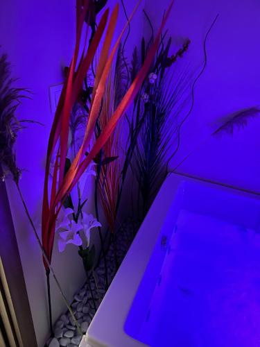 a purple room with a bath tub with some plants at Luxury Jacuzzi Apartment City View Free Parking in Skopje