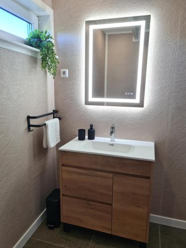 a bathroom with a sink and a mirror at B&B het Zandoogje in Hollandscheveld