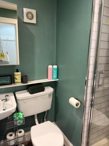 Un baño con inodoro, lavabo y ducha. en Charming studio flat in vibrant Leith, en Edimburgo
