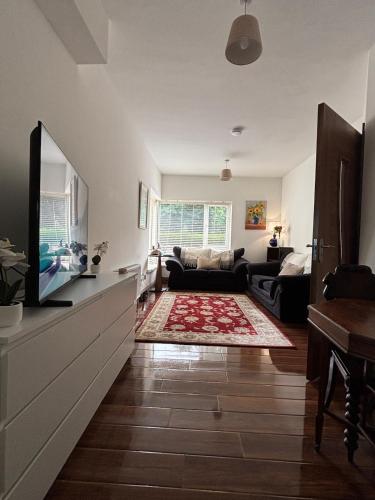 a living room with a couch and a tv at Atlas Harbour Monkstown in Monkstown
