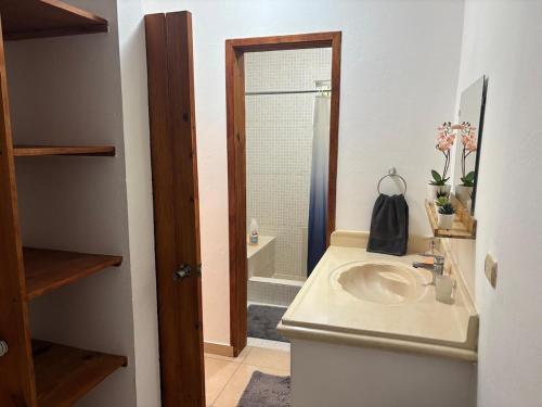 ラス・ガレラスにあるGuest House Canephora in Las Galerasの洗面台とシャワー付きのバスルーム