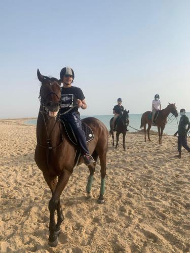 a group of people riding horses on the beach at الدرر البانورامية للعوائل فقط in King Abdullah Economic City