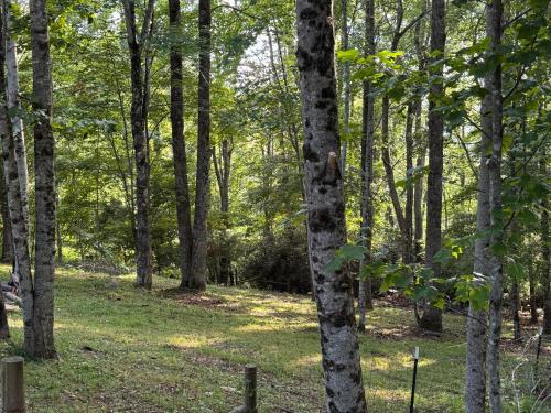 Naturlandschaft in der Nähe des Ferienhauses