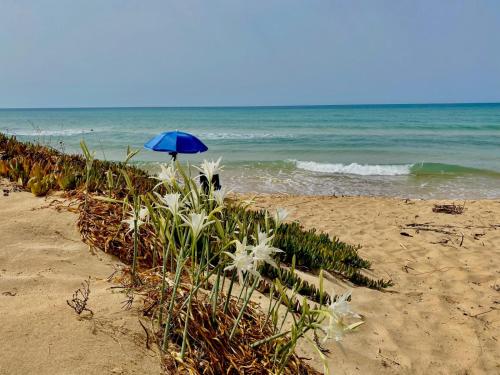 a person with a blue umbrella on the beach at Marigiò in Menfi