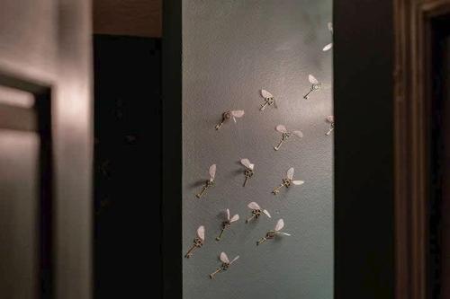 a bunch of birds hanging on a wall at Stay at Hogwarts Harry Potter's Home, Free Parking, Pets Allowed in Kissimmee