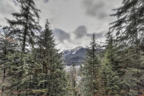 a group of trees with a mountain in the background at Juneau Escape - Hiking - 5 min downtown- glaciers in Juneau