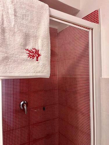 a bathroom with a shower with a red tile wall at Note Sulla Piazza in Cagliari