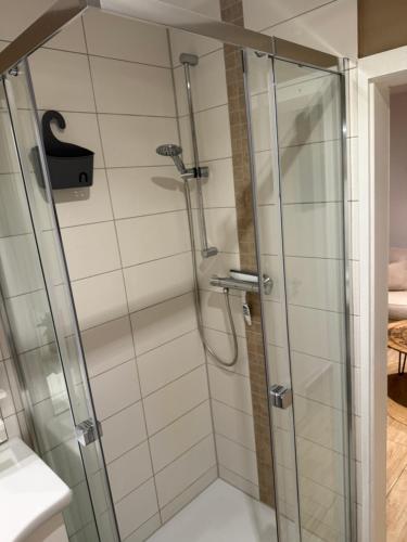 een douche met een glazen deur in een badkamer bij Ferienwohnung See Glück in Wunstorf