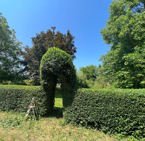 a hedge with a treelined arch in a garden at Chambres d'Hôtes Manoir Du Chêne in Nonant