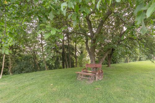 a bench sitting in the grass under a tree at Panorama B&B in Ptuj