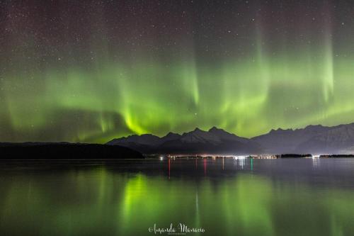 an aurora over a body of water at night at Juneau Hideaway-Glaciers-5 min to downtown- Hiking in Juneau