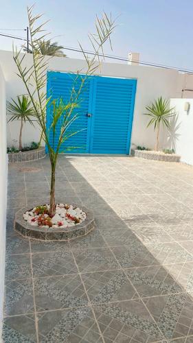 a tree in a courtyard with a blue door at Studio Rouge Cosy à Dar Lili Djerba in Mezraya