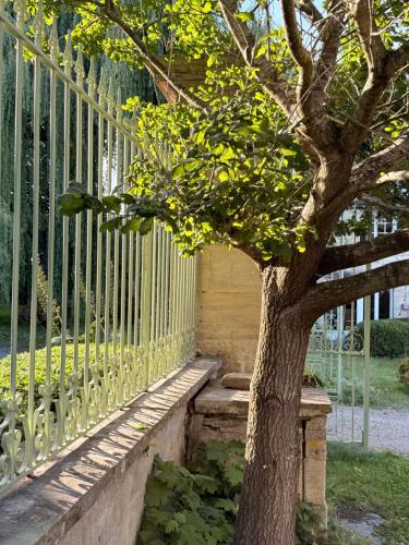 a tree sitting next to a fence at Chambres d'Hôtes Manoir Du Chêne in Nonant
