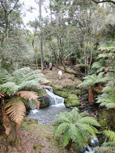 a group of people walking down a stream in a forest at Morada Reino Encantado in São Joaquim