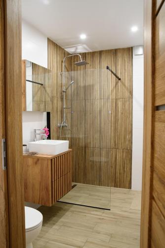 a bathroom with a shower and a sink and a toilet at Lipowa Apartamenty in Szczawno-Zdrój