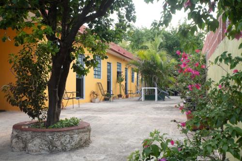 a tree in a pot in front of a building at Casa Cuevas & Amaro in Mérida