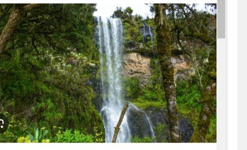 a waterfall in the middle of a forest with trees at Kels Place ,Runda , Chogoria , Tharaka Nithi, Kenya in Mwangarimwe