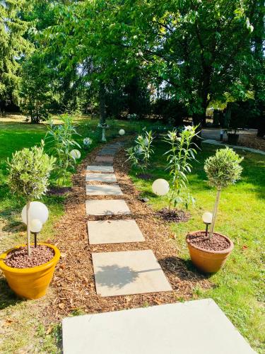 a garden with two potted trees and a walkway at Les jardins de Phidji in Buzet-sur-Tarn