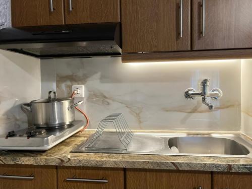 a kitchen with a sink and a pot on a counter at Haus Niko Apartments and Suites in Nea Potidaea