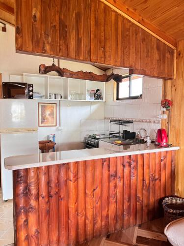 a kitchen with wooden walls and a white refrigerator at Cabañas ANTUCO NEVADO in Antuco