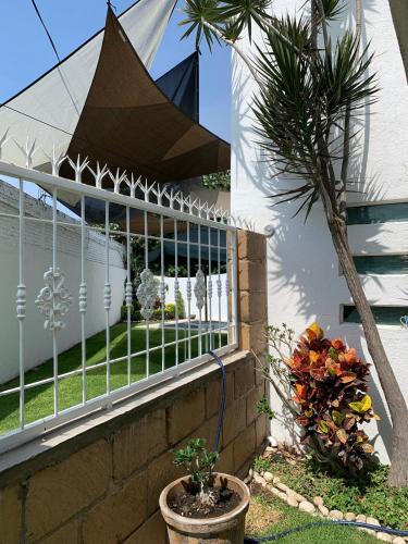 a house with a palm tree in front of a window at Hermosa casa residencial alberca propia climatizada in Cuautla Morelos