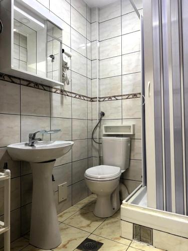 a bathroom with a toilet and a sink and a shower at Lyon Apartments in Budva