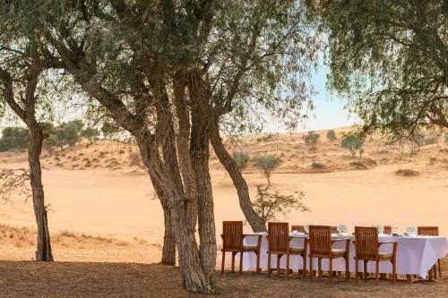a table and chairs under a tree in the desert at The Ritz-Carlton Ras Al Khaimah, Al Wadi Desert in Ras al Khaimah