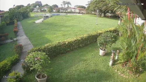 an aerial view of a yard with plants at Las Lajas Chalet Sweet home 2 bedrooms in Las Lajas