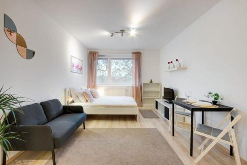 Comfy Studio in Town