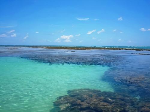 プライア・ドス・カルネイロスにあるBela Casa Praia dos Carneiros Condominio Beira Mar Seg 24hrs FRENTE PISCINAS NATURAIS!!!の水中の岩を持つ水