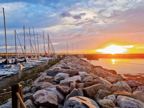 a group of boats docked at a marina at sunset at 6 person holiday home in Hovborg in Hovborg