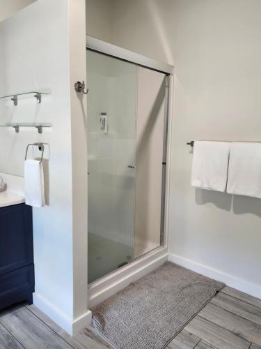 een douche met een glazen deur in een badkamer bij Modern apartment overlooking a Historic Downtown in Elloree